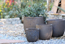 Egg Shell Pots By Plantatorem