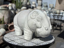 Hippo By Plantatorem