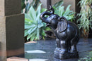 Elephant By Plantatorem