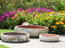 Succulent Bowl By Plantatorem