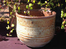 English Tumbled Pots By Plantatorem