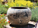 Planter de Lagos By Plantatorem