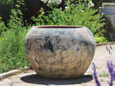Planter de Lagos By Plantatorem