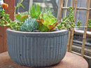 Faux Zin Can Low Planter By Plantatorem