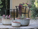 Faux Zin Can Low Planter By Plantatorem