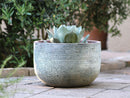 Egg Horizontal Ripples Planter By Plantatorem