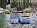 Pumpkin Planter By Plantatorem