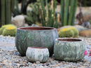 Pumpkin Planter By Plantatorem