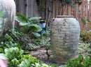 Ancient Amphora Large Planter By Plantatorem