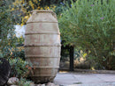 Ribbed Belly Amphora