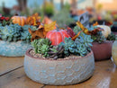 Hand Thrown Hexagon Bowl By Plantatorem