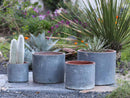 Cylinder Planter By Plantatorem