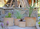 Cylinder Planter By Plantatorem