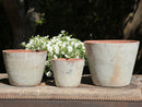 Hand Thrown Planter By Plantatorem