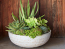 Hand Thrown Bowl By Plantatorem