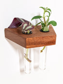 Trapezoid Propagation Station Shelf for Plant Cuttings