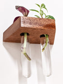 Trapezoid Propagation Station Shelf for Plant Cuttings