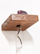 Rhombus Propagation Station Shelf for Plant Cuttings