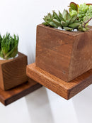 Small Square Display Shelf in Mahogany