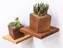 Small Rhombus Display Shelf in Mahogany