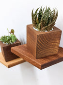 Small Rhombus Display Shelf in Mahogany