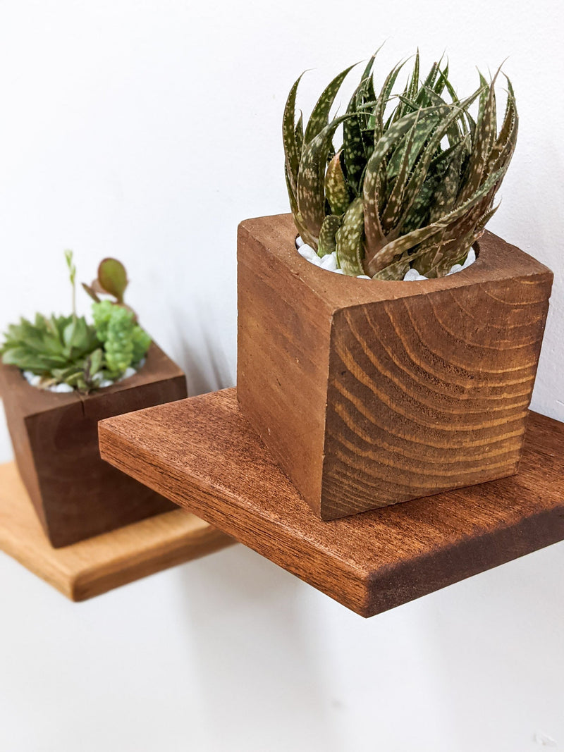 Small Rhombus Display Shelf in Mahogany