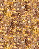 Cali Flowers Wallpaper, sunshine