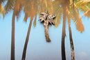 Palm Tree Lapel Pin