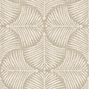 Fan Palm Wallpaper | Tropical Elegance