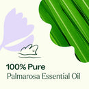 Palmarosa Essential Oil
