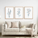Botanical Line Art Set of 3 Pieces. Pastel Blue Flowers