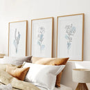 Botanical Line Art Set of 3 Pieces. Pastel Blue Flowers