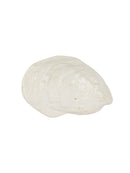 Pearl Damariscotta Oyster Dish