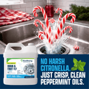 Drain and Fruit Fly Eliminator
