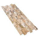Philadelphia Ledger 3D Panel 6"x24" Natural Travertine Wall Tile - Full Truckload Honed multiple angle view