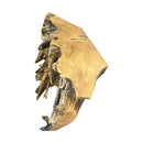 Teak Root Console (torched)