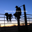 Sunset Fence Line Cowboy Photograph | Wood Frame 14 5/8 x 19 | Kenn Stobbe
