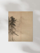 Pine Trees II