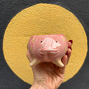 Pink Fish Mini Planter Pot | Tropical Shaped Fish Pot | 5" x 3"