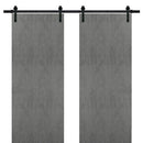 Planum 0010 Concrete Double Barn Door | Black Rail