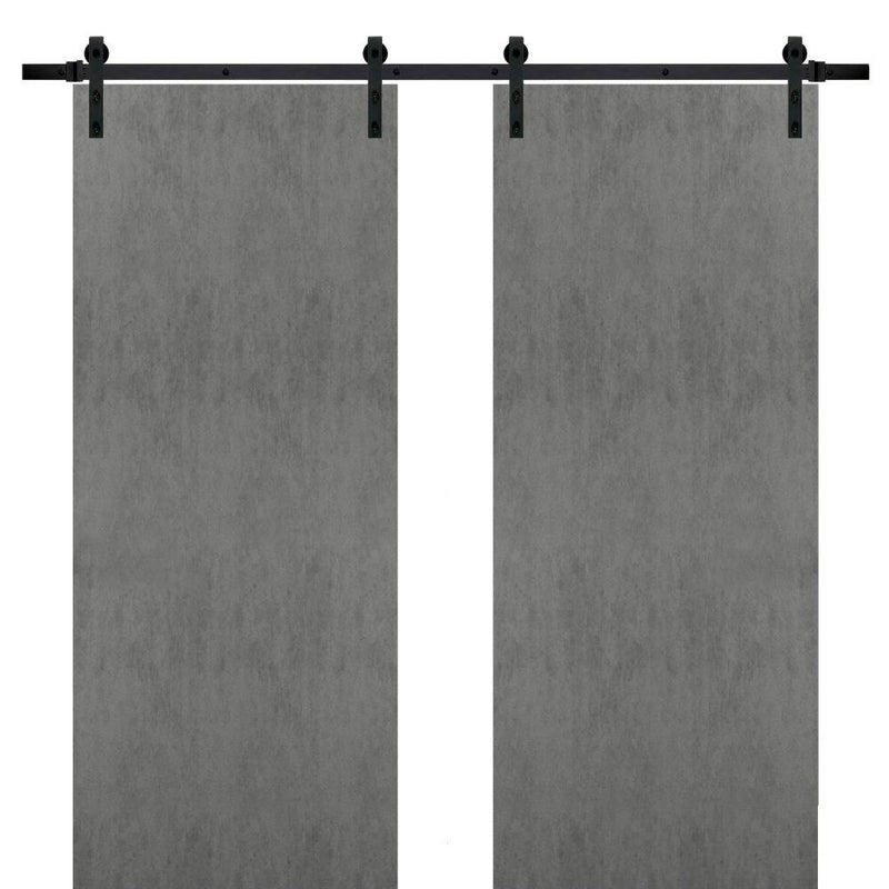 Planum 0010 Concrete Double Barn Door | Black Rail