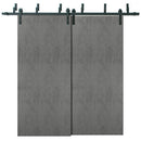 Planum 0010 Concrete Double Barn Door | Black Bypass Rails