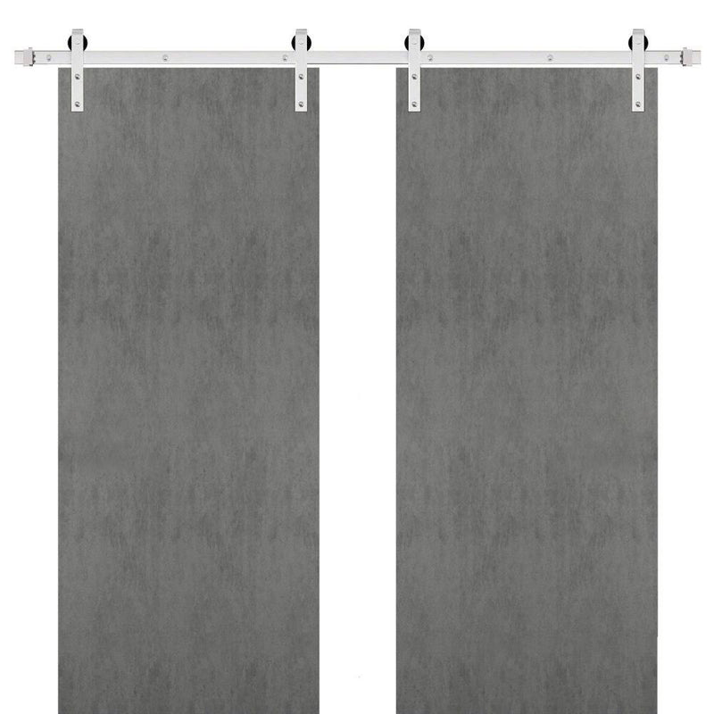 Planum 0010 Concrete Double Barn Door | Silver Finish Rail