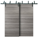 Planum 0010 Ginger Ash Double Barn Door | Black Bypass Rails