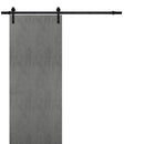 Planum 0010 Concrete Finish Barn Door and Black Rail