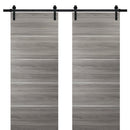 Planum 0020 Ginger Ash Double Barn Door | Black Rail