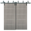 Planum 0020 Grey Oak Double Barn Door | Black Bypass Rails