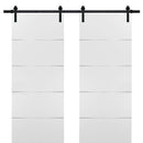 Planum 0020 Matte White Double Barn Door | Black Rail