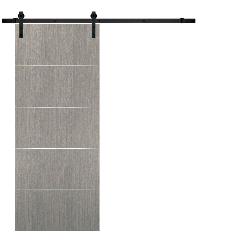 Planum 0020 Grey Oak Barn Door and Black Rail