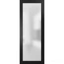 Planum 2102 Matte Black Barn Door Slab with Frosted Glass